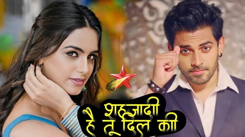 Shehzaadi... Hai Tu Dil Ki Serial